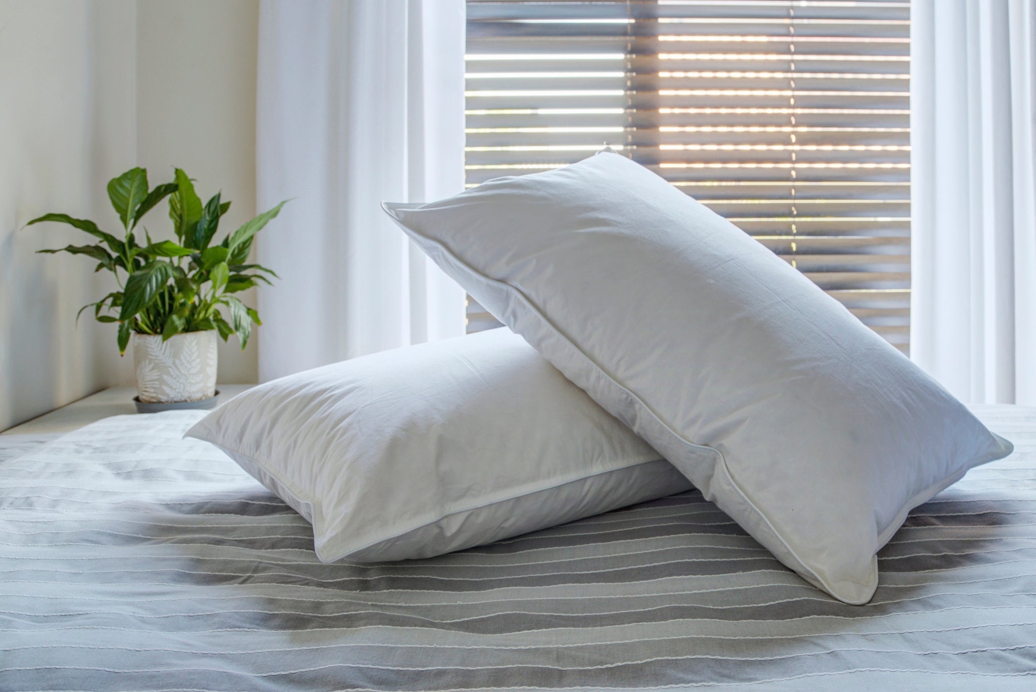 Goose Down Pillow (90% down, 10% Feather) - ThinkCosy